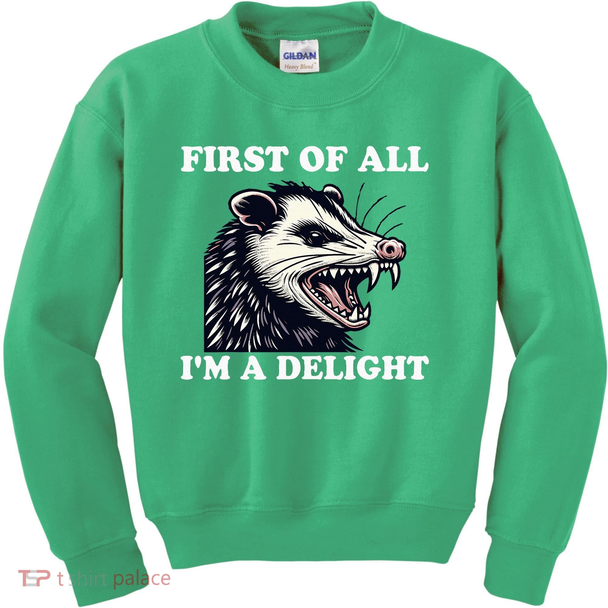 Sarcastic Angry Opossum Lover First Of All IM A Delight Kids Sweatshirt