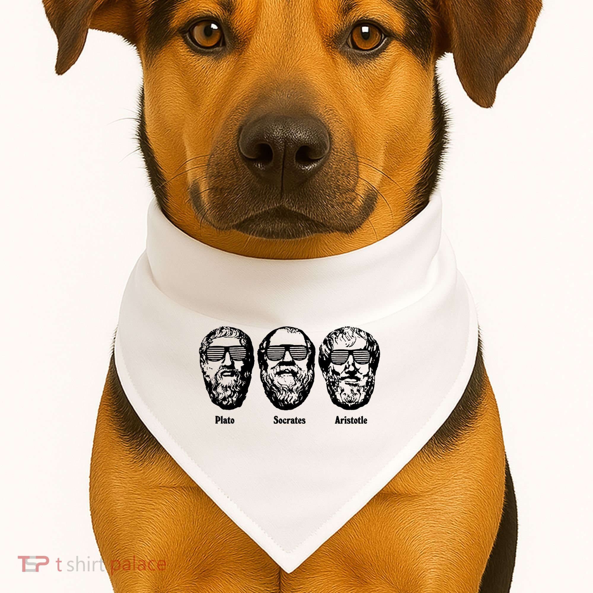 Socrates Aristotle Plato USA-Made Doggie Bandana