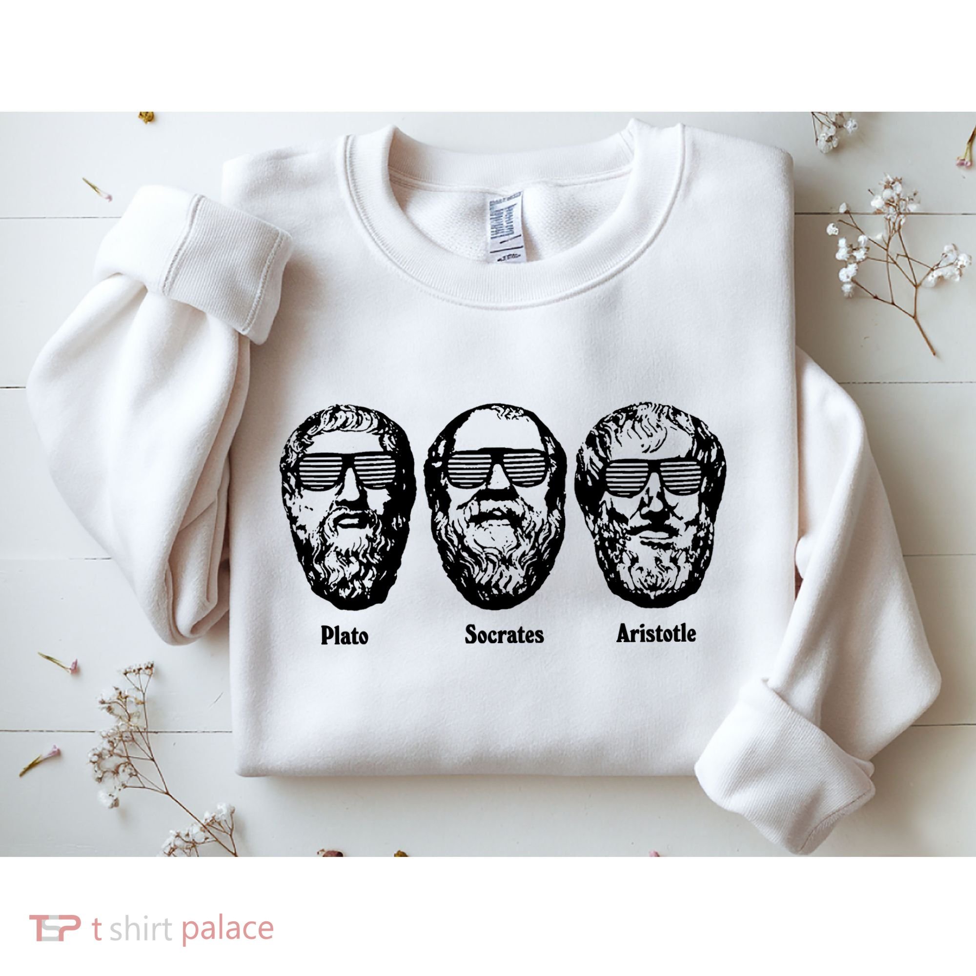 Socrates Aristotle Plato Sweatshirt