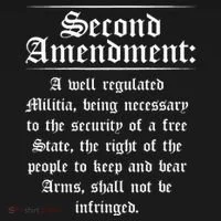 Second Amendment Rights Proud 2a Pro Gun Rights American Toddler Hoodie thumb 2