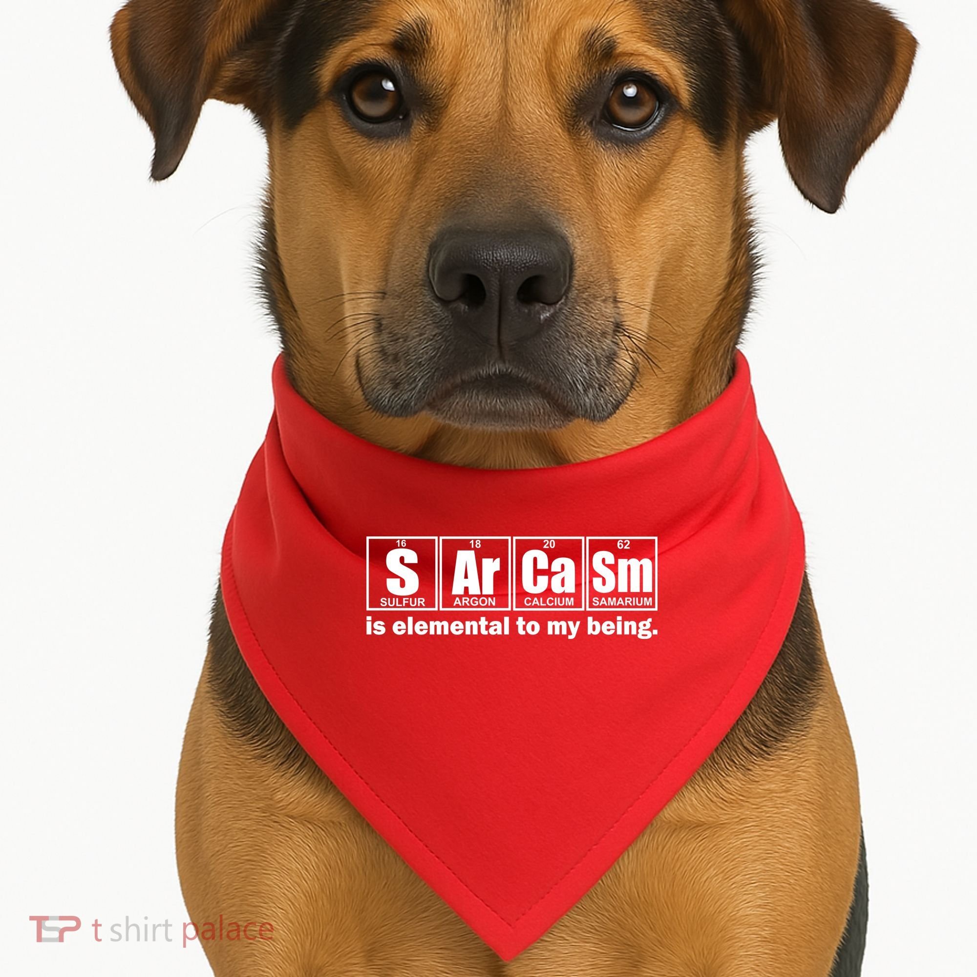 Sarcasm Is Elemental To My Being USA-Made Doggie Bandana