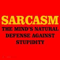 Sarcasm The Mind's Natural Defense Santa Hat thumb 1