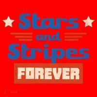 Stars And Stripes Forever Patriotic Holiday Santa Hat thumb 1