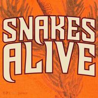 Snakes Alive Kati Licensed 12" Camo Cuffed Beanie thumb 2