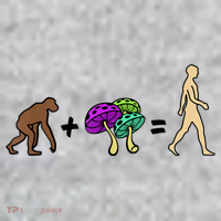 Stoned Ape Theory Psychedelic Magic Mushroom Monkey Pajama Set thumb 2