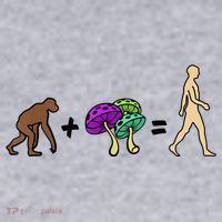 Stoned Ape Theory Psychedelic Magic Mushroom Monkey Women's Sweatshirt thumb 2