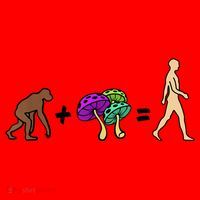 Stoned Ape Theory Psychedelic Magic Mushroom Monkey Santa Hat thumb 1