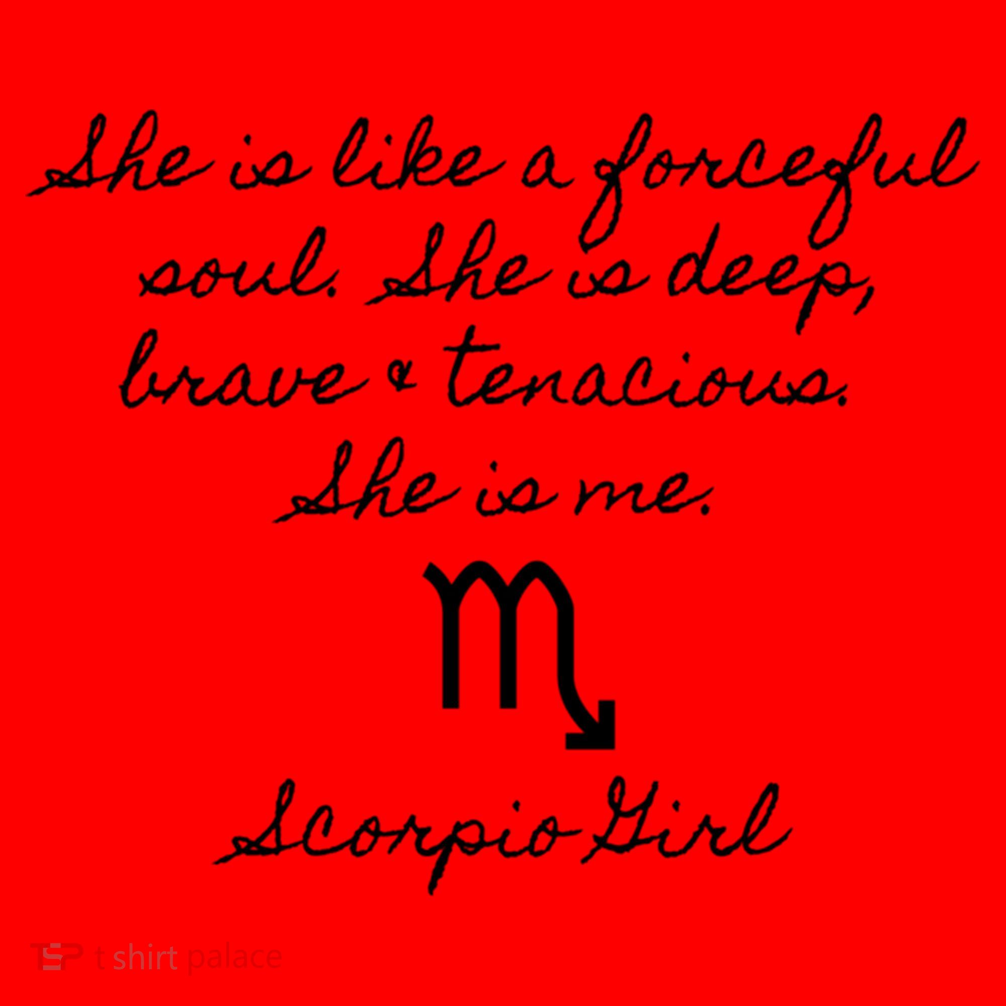 Scorpio Astrology Traits Gift Santa Hat