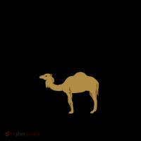 Save A Horse Ride A Camel Funny Coffee Mug thumb 5