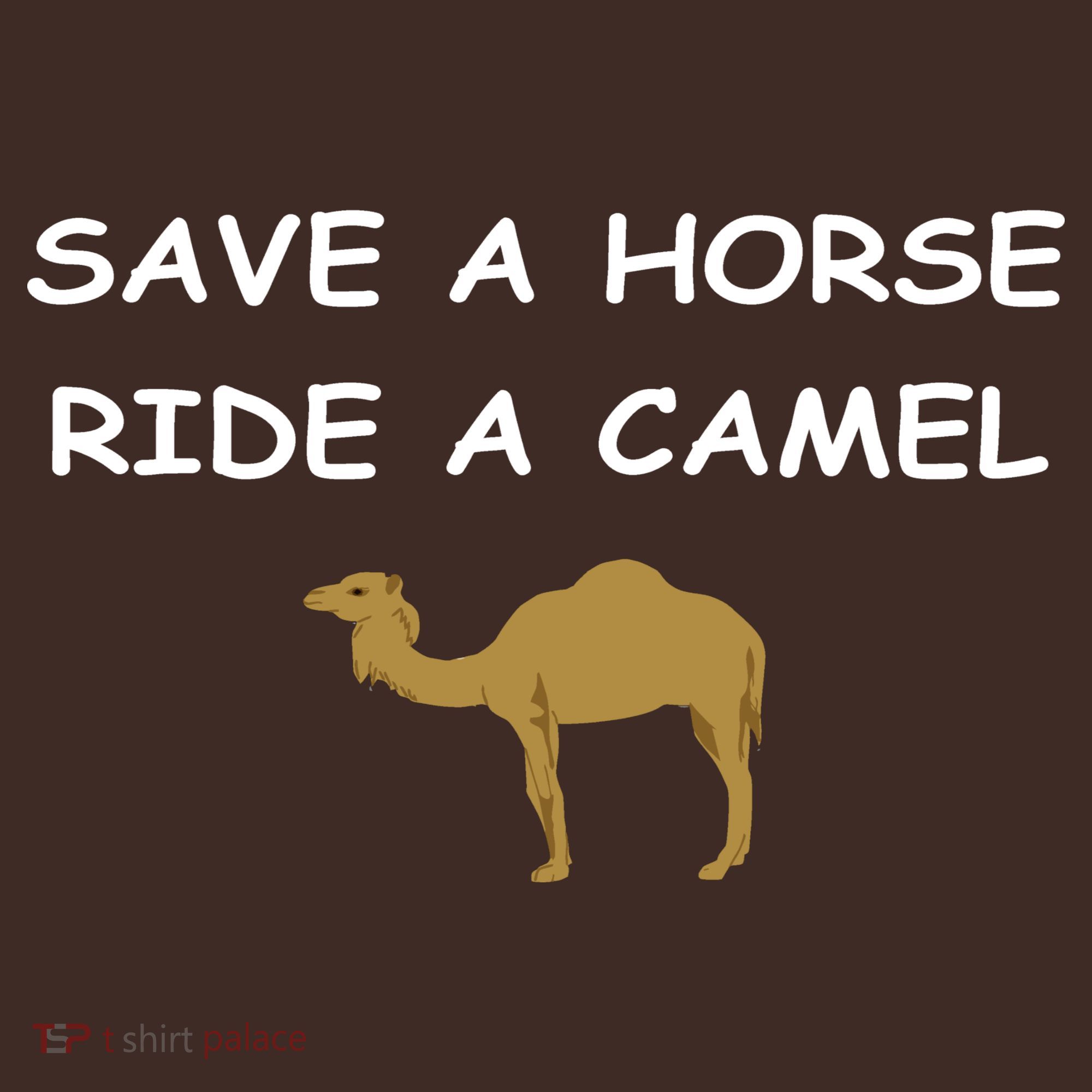 Save A Horse Ride A Camel Funny Kids Hoodie