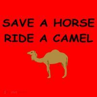 Save A Horse Ride A Camel Funny Santa Hat thumb 1