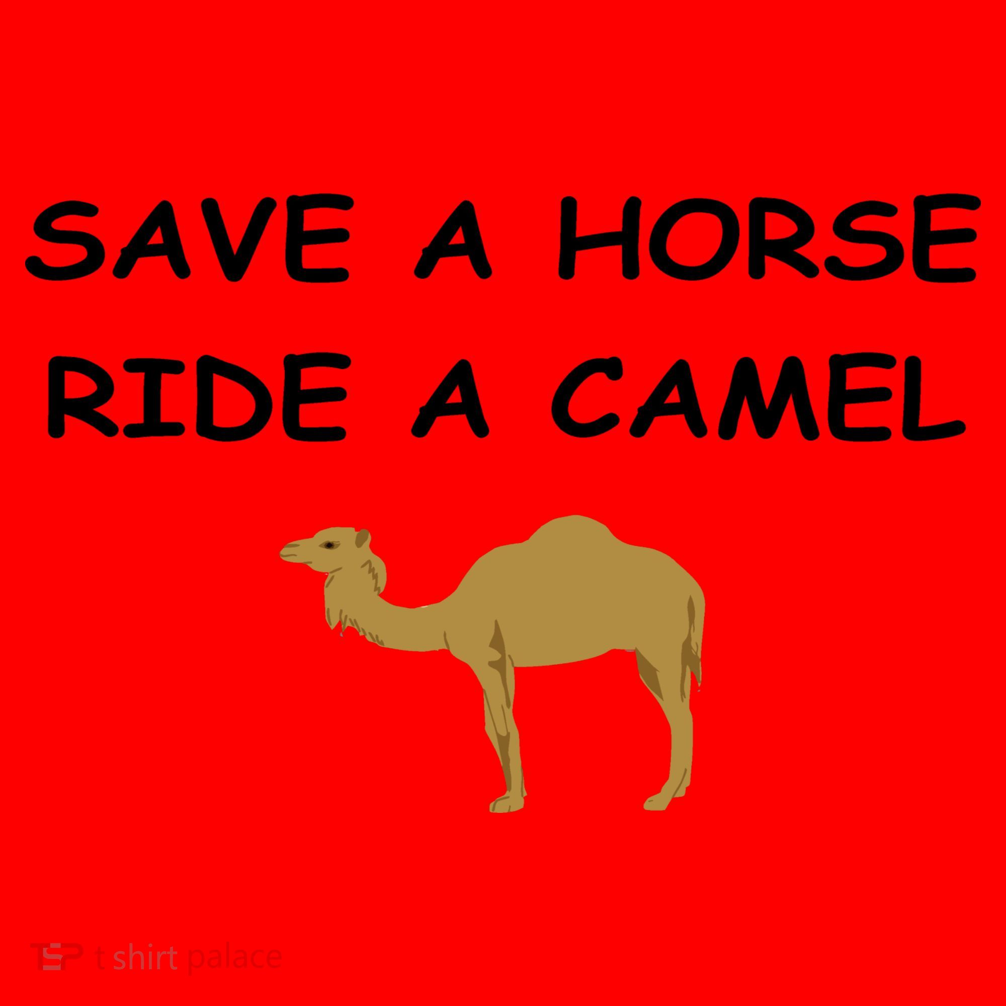 Save A Horse Ride A Camel Funny Santa Hat