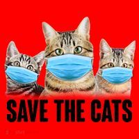 Save The Cats Face Mask Pandemic Santa Hat thumb 1