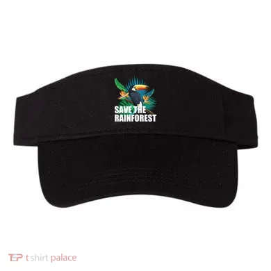 Visor