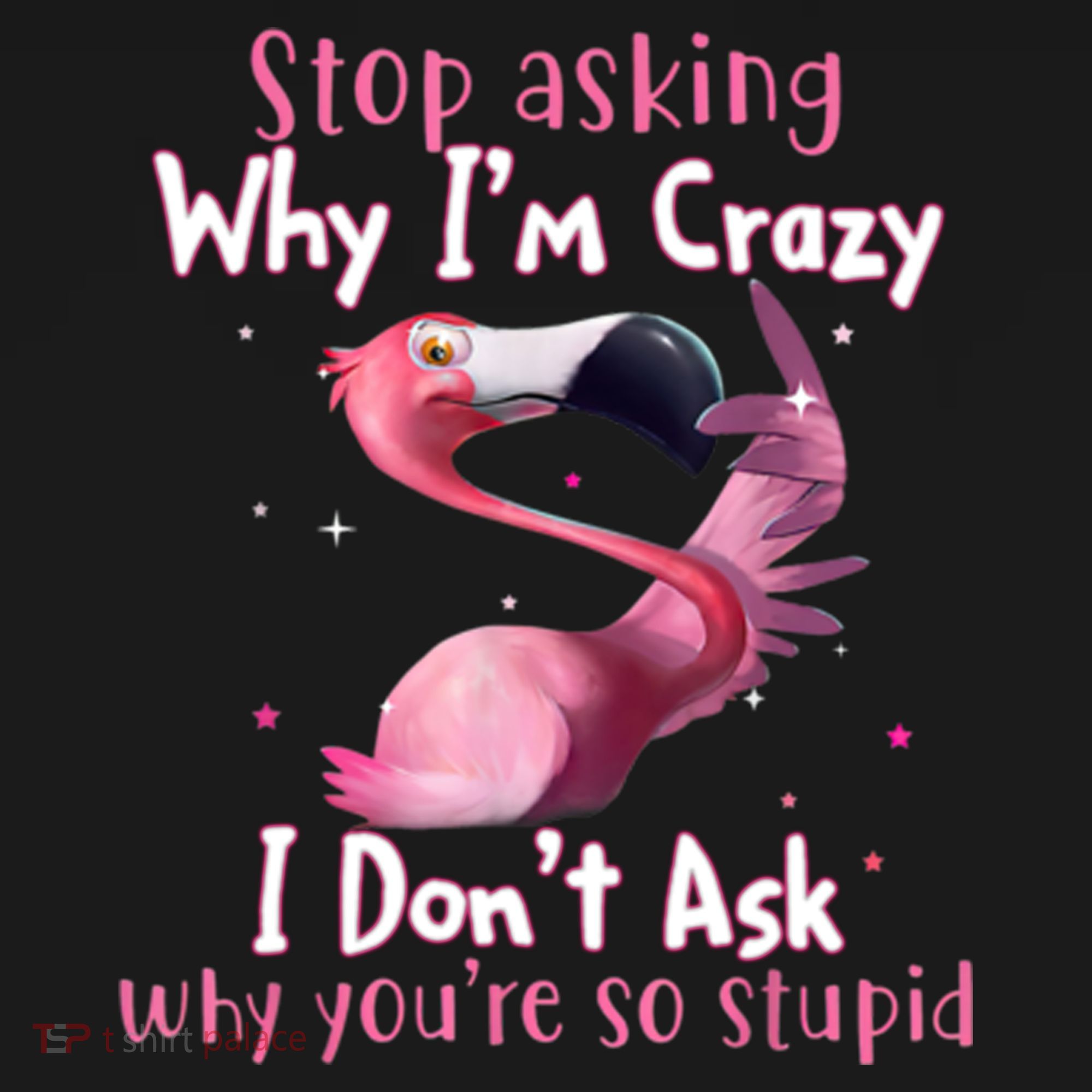 Stop Asking Why I'm Crazy I Don't Ask Why You're So Stupid Funny Women's Hoodie