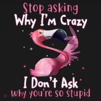 Stop Asking Why I'm Crazy I Don't Ask Why You're So Stupid Funny Women's Tank Top thumb 5