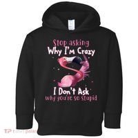 Stop Asking Why I'm Crazy I Don't Ask Why You're So Stupid Funny Toddler Hoodie thumb 0