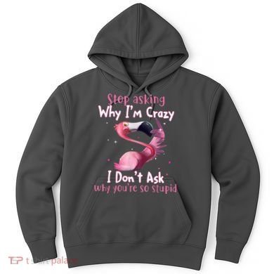 Stop Asking Why I'm Crazy I Don't Ask Why You're So Stupid Funny Hoodie