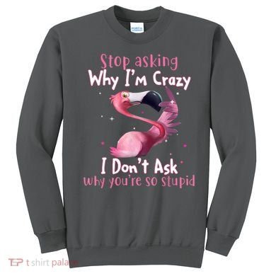 Stop Asking Why I'm Crazy I Don't Ask Why You're So Stupid Funny Sweatshirt