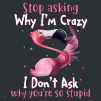 Stop Asking Why I'm Crazy I Don't Ask Why You're So Stupid Funny Sweatshirt thumb 2