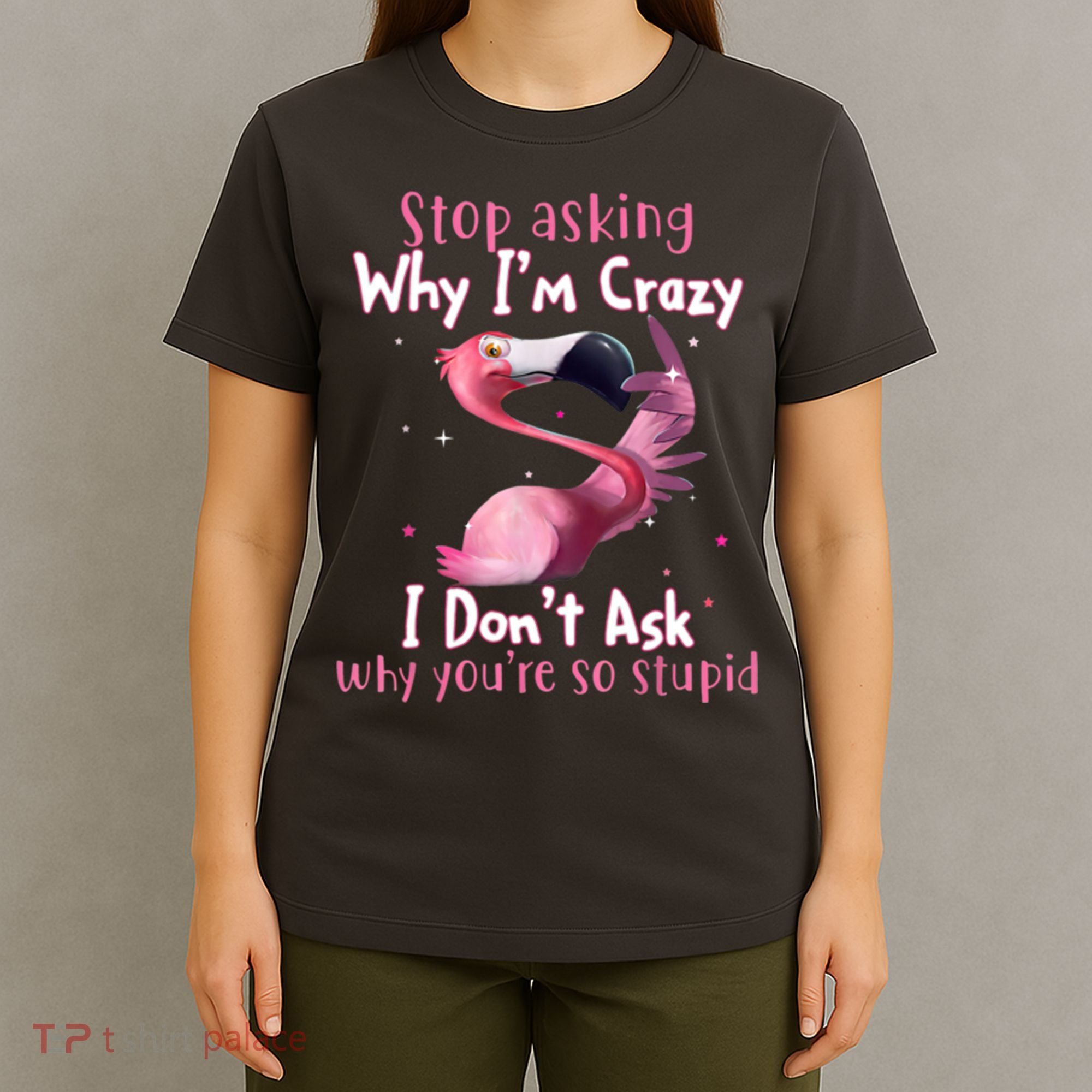 Stop Asking Why I'm Crazy I Don't Ask Why You're So Stupid Funny T-Shirt