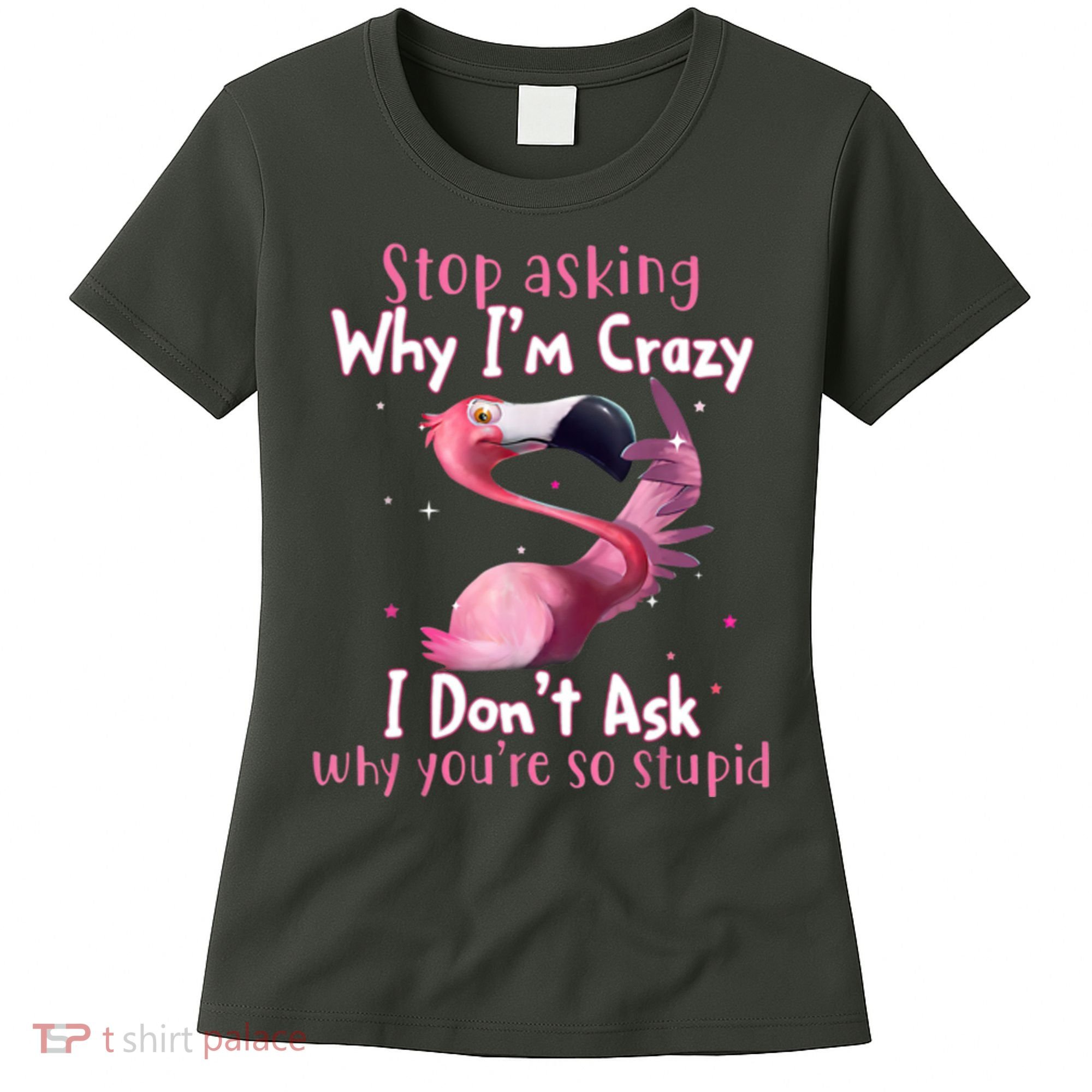 Stop Asking Why I'm Crazy I Don't Ask Why You're So Stupid Funny Women's T-Shirt