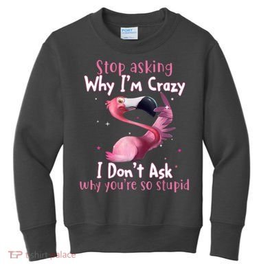 Stop Asking Why I'm Crazy I Don't Ask Why You're So Stupid Funny Kids Sweatshirt