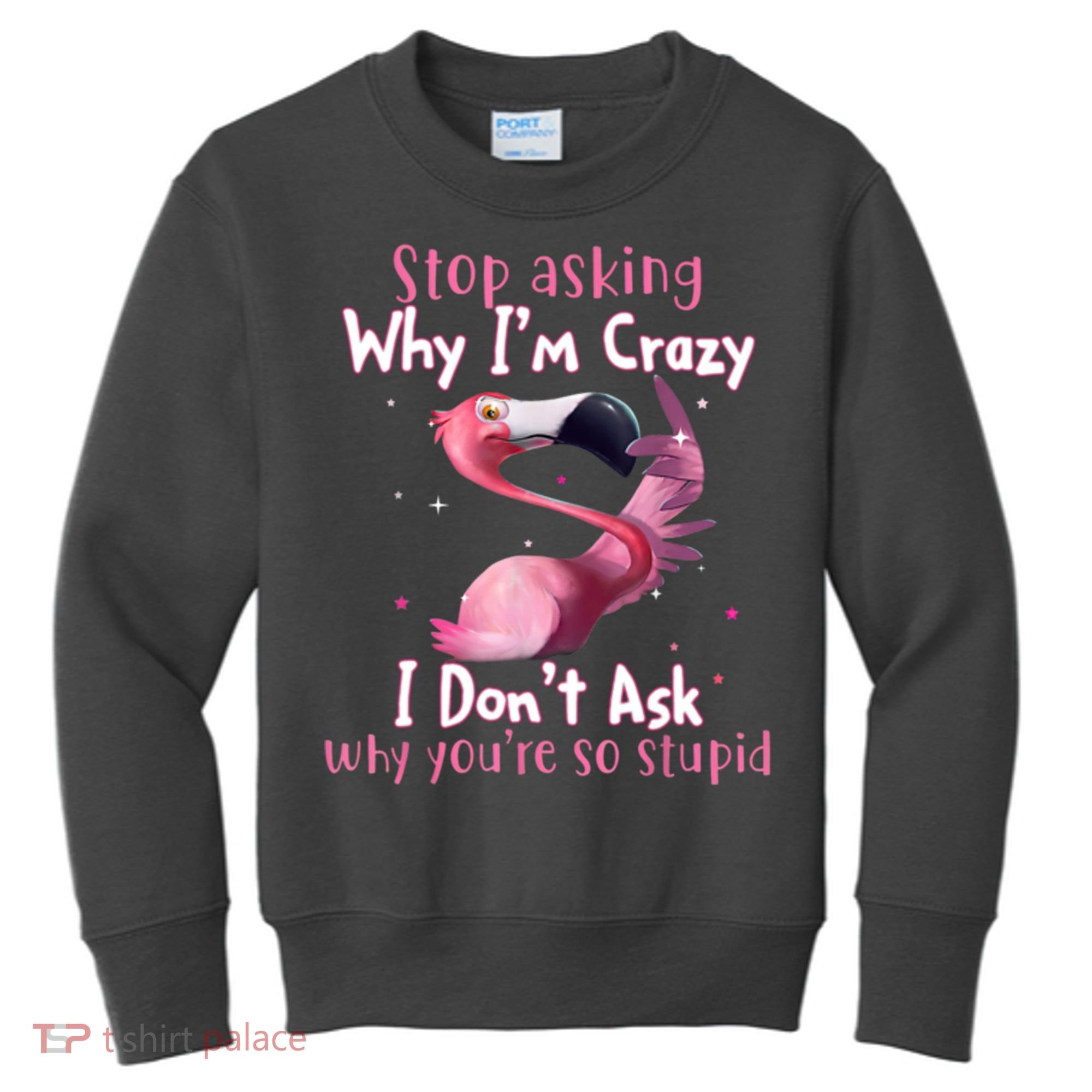 Stop Asking Why I'm Crazy I Don't Ask Why You're So Stupid Funny Kids Sweatshirt