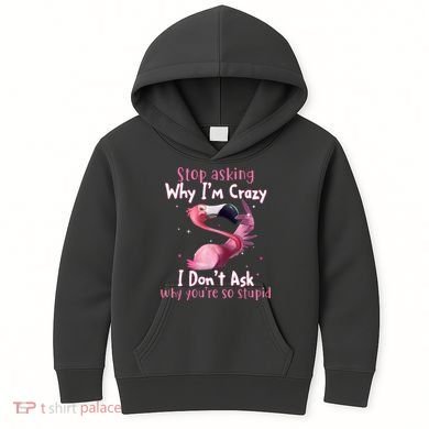 Stop Asking Why I'm Crazy I Don't Ask Why You're So Stupid Funny Kids Hoodie