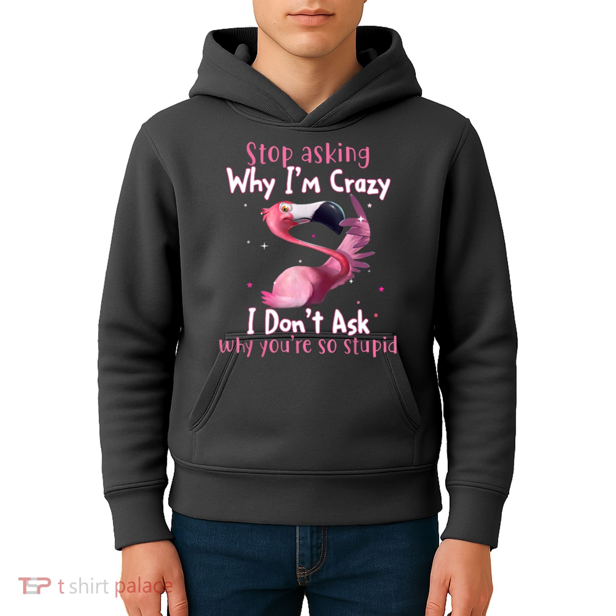 Stop Asking Why I'm Crazy I Don't Ask Why You're So Stupid Funny Kids Hoodie