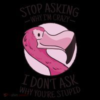 Stop Asking Why I'm Crazy I Don't Ask Why You're Stupid Mousepad thumb 1