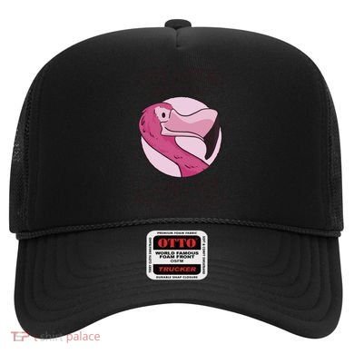 Stop Asking Why I'm Crazy I Don't Ask Why You're Stupid Hat