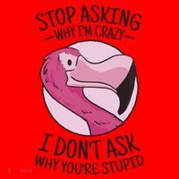 Stop Asking Why I'm Crazy I Don't Ask Why You're Stupid Santa Hat thumb 1