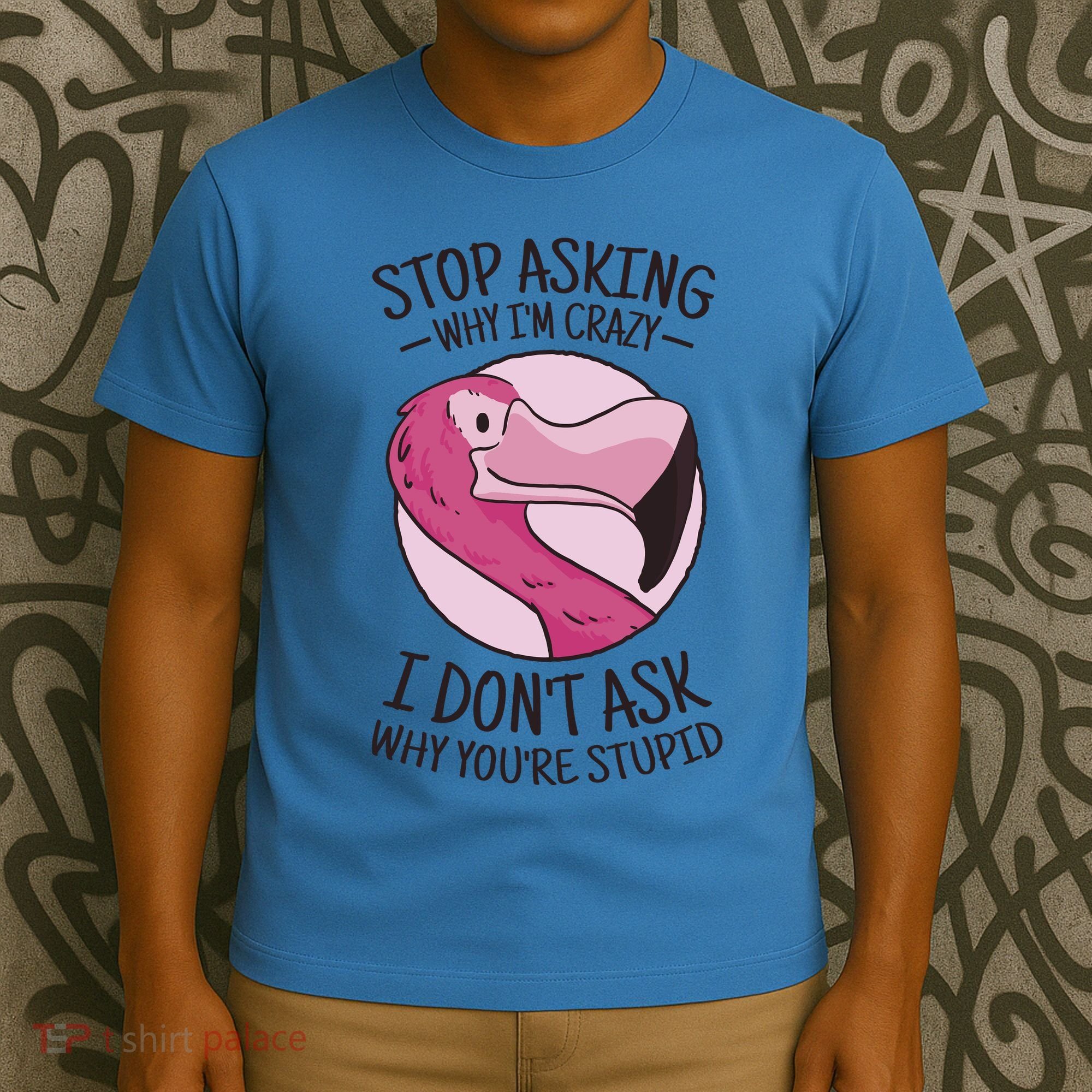 Stop Asking Why I'm Crazy I Don't Ask Why You're Stupid T-Shirt
