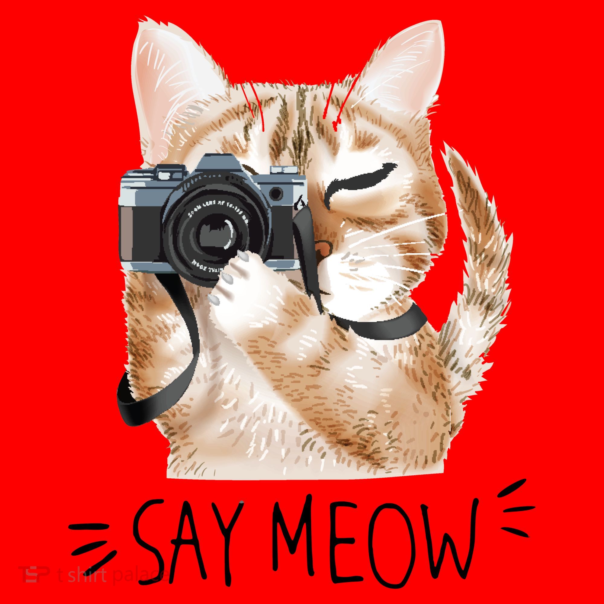 Say Meow Cute Cat Picture Santa Hat