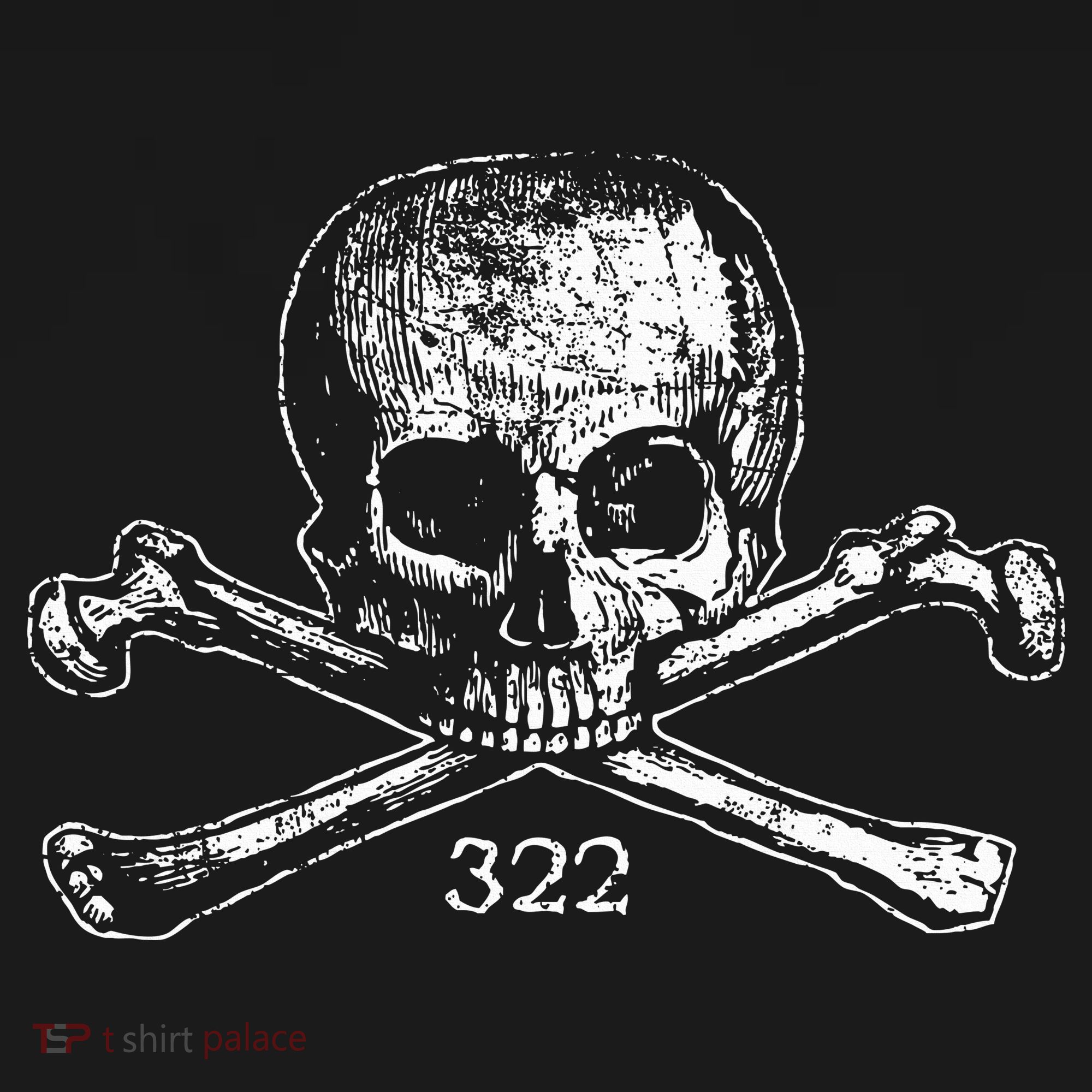 Skull & Bones 322 Distressed Skull And Crossbones Sustainable Knit Beanie