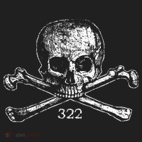 Skull & Bones 322 Distressed Skull And Crossbones Hat thumb 2
