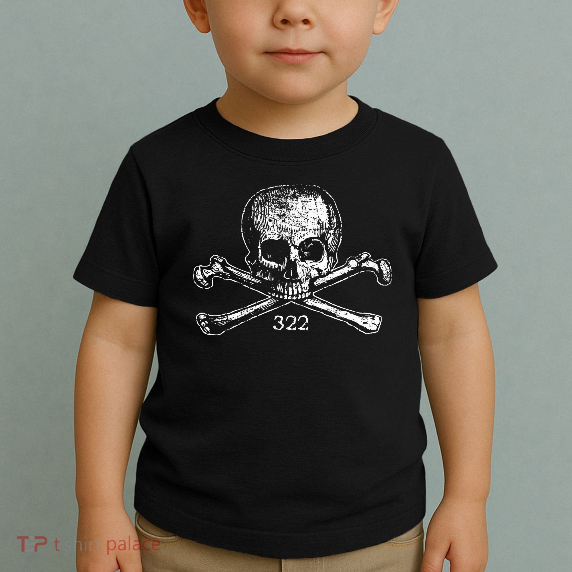 Skull & Bones 322 Distressed Skull And Crossbones Toddler T-Shirt