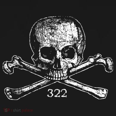 Skull & Bones 322 Distressed Skull And Crossbones Women's V-Neck T-Shirt