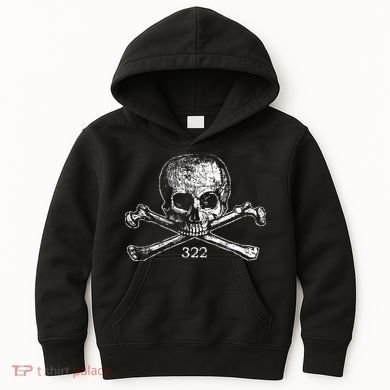 Skull & Bones 322 Distressed Skull And Crossbones Kids Hoodie
