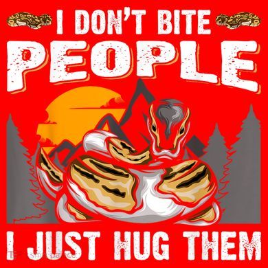 Snake Banana Ball Python Santa Hat
