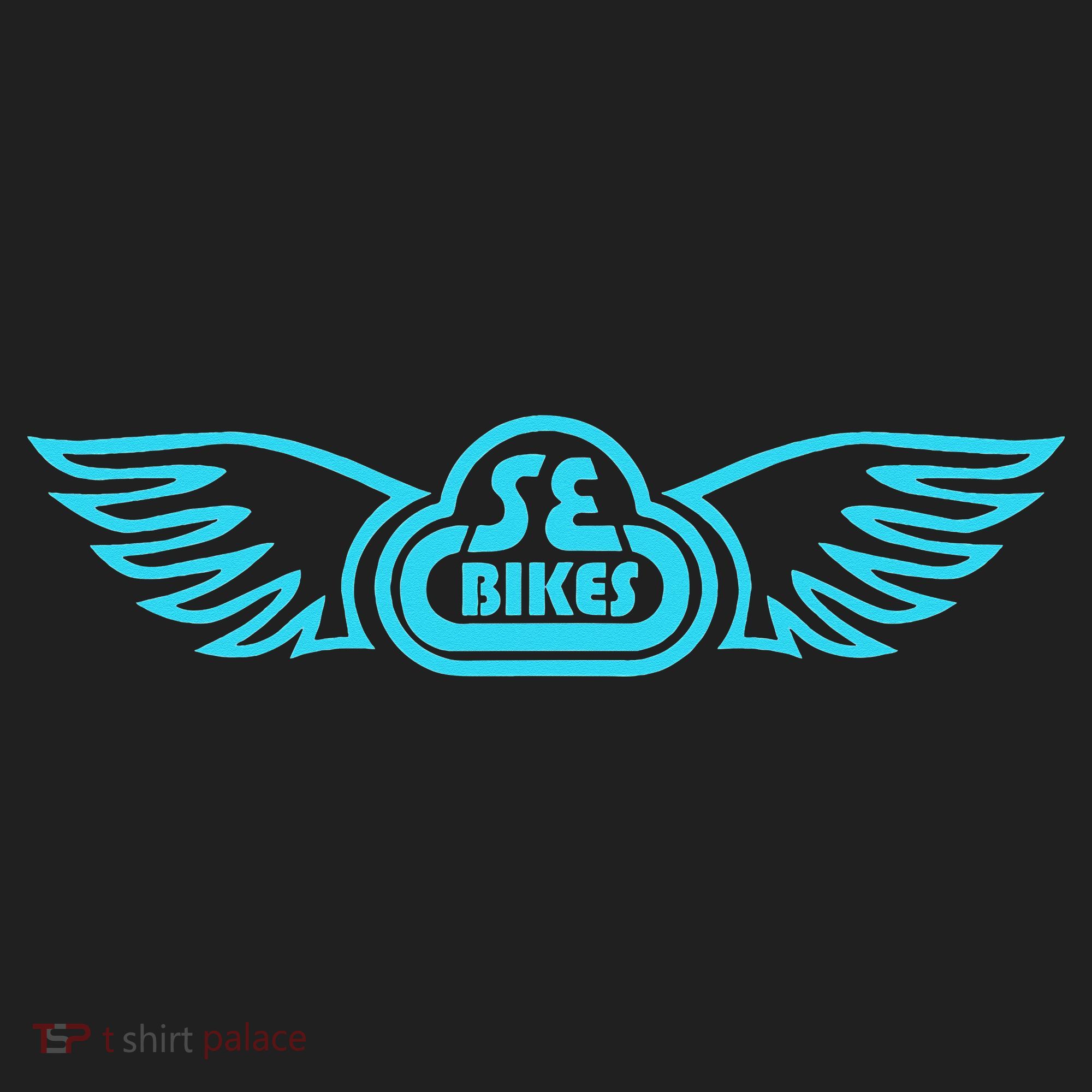 Se Bikes Baby Blue Wing funny saying Beanie