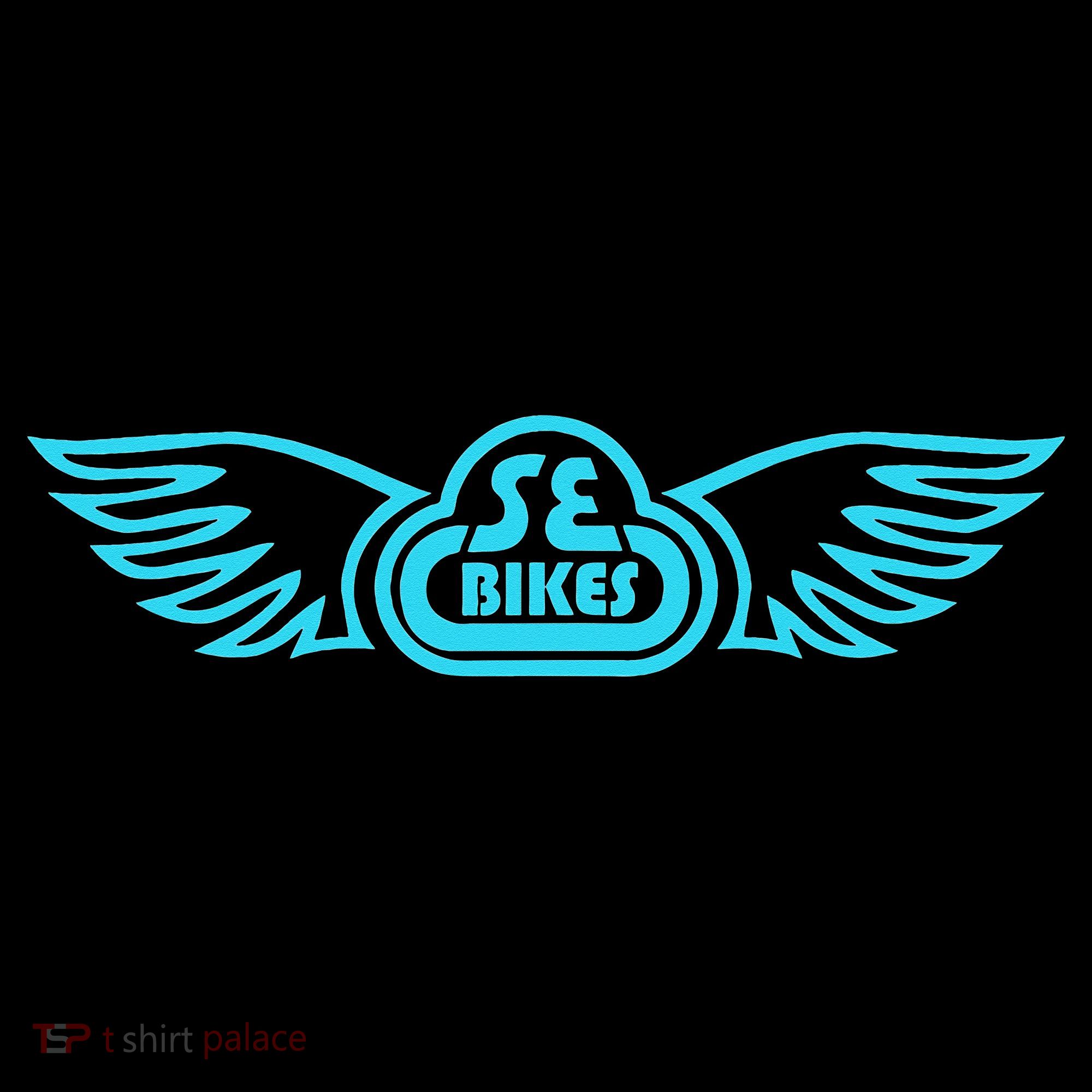Se Bikes Baby Blue Wing funny saying Women's Hoodie