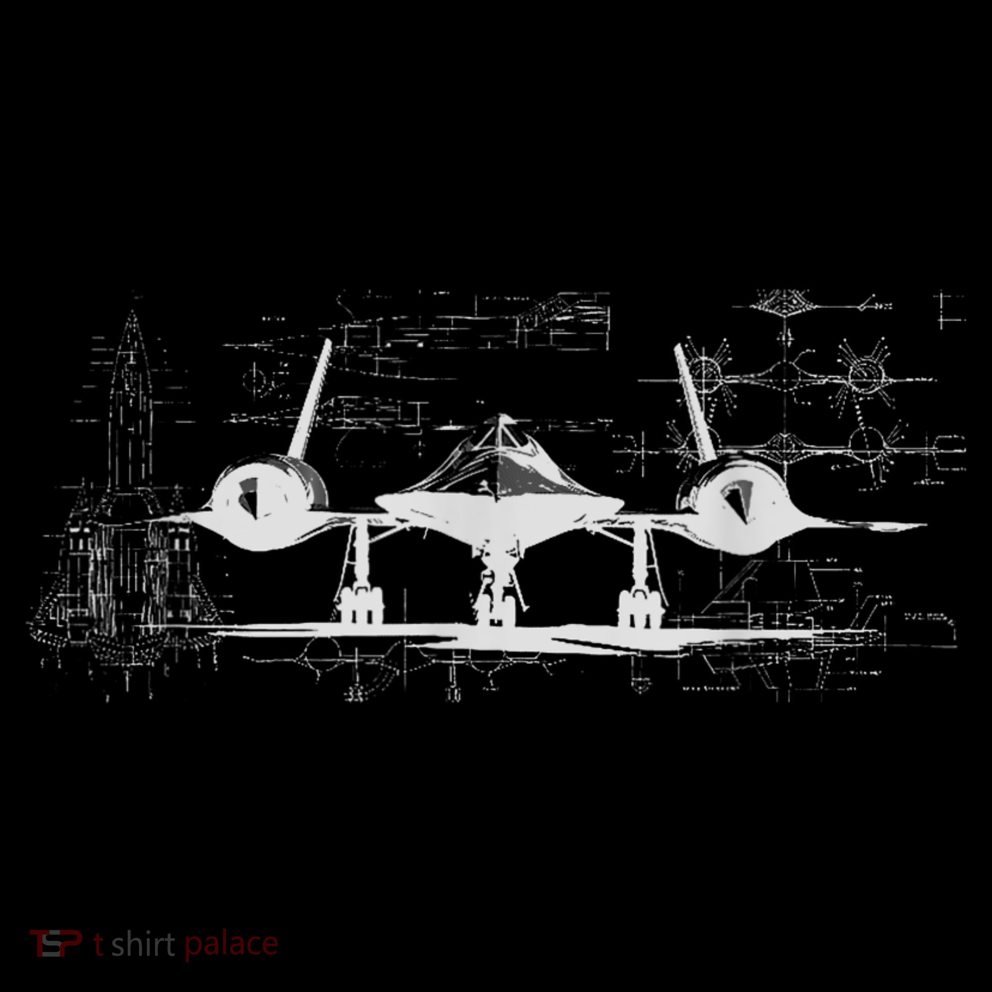 SR71 Blackbird Cold War Recon Plane Apron