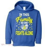 Sarcoma Bone Cancer In This Family No One Fights Alone Gift Toddler Hoodie thumb 0