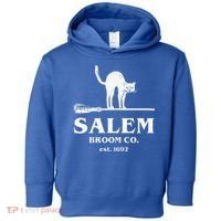 Salem Broom Co Company Halloween Black Cat Witch And Broom Toddler Hoodie thumb 0