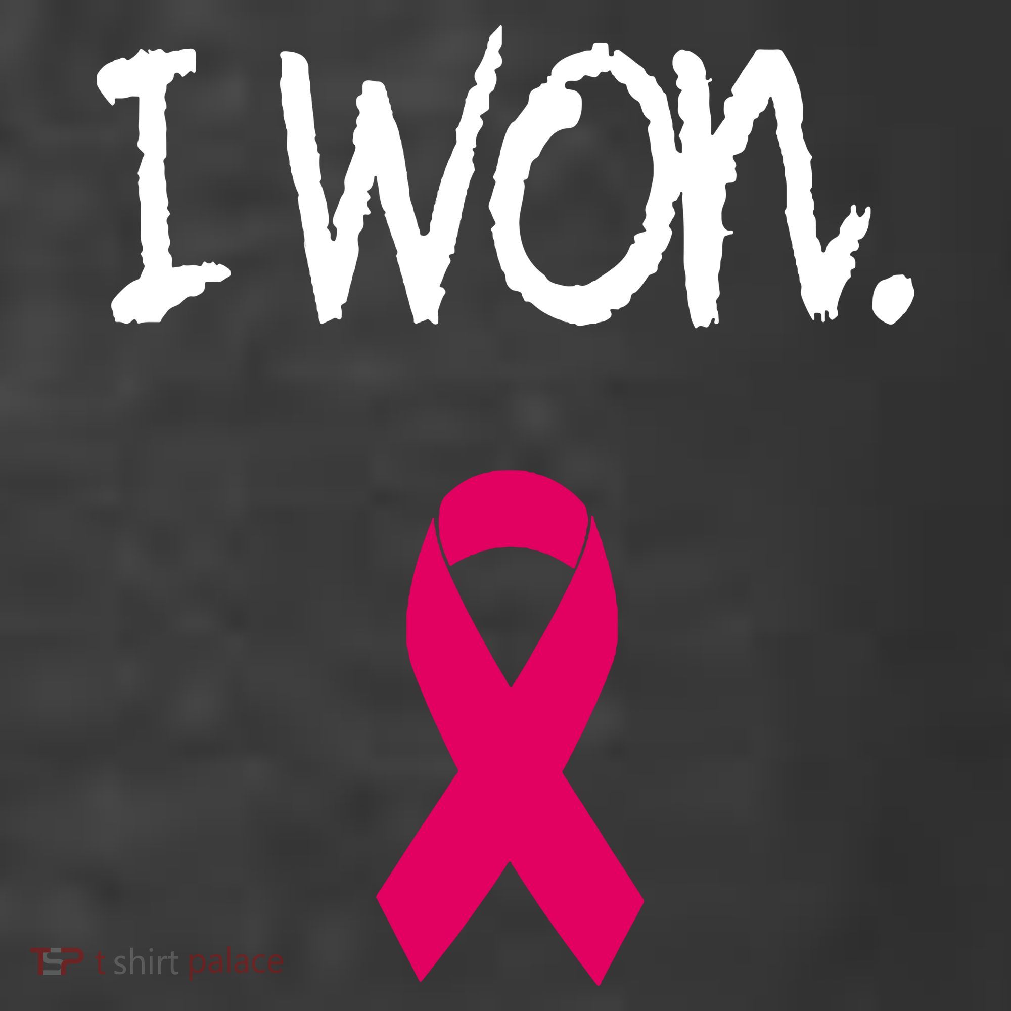 Survivor Breast Cancer Awareness Pink Ribbon Gift Women's Hoodie
