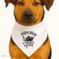 Spring Break Cruise Squad Cruising Matching Team USA-Made Doggie Bandana thumb 1