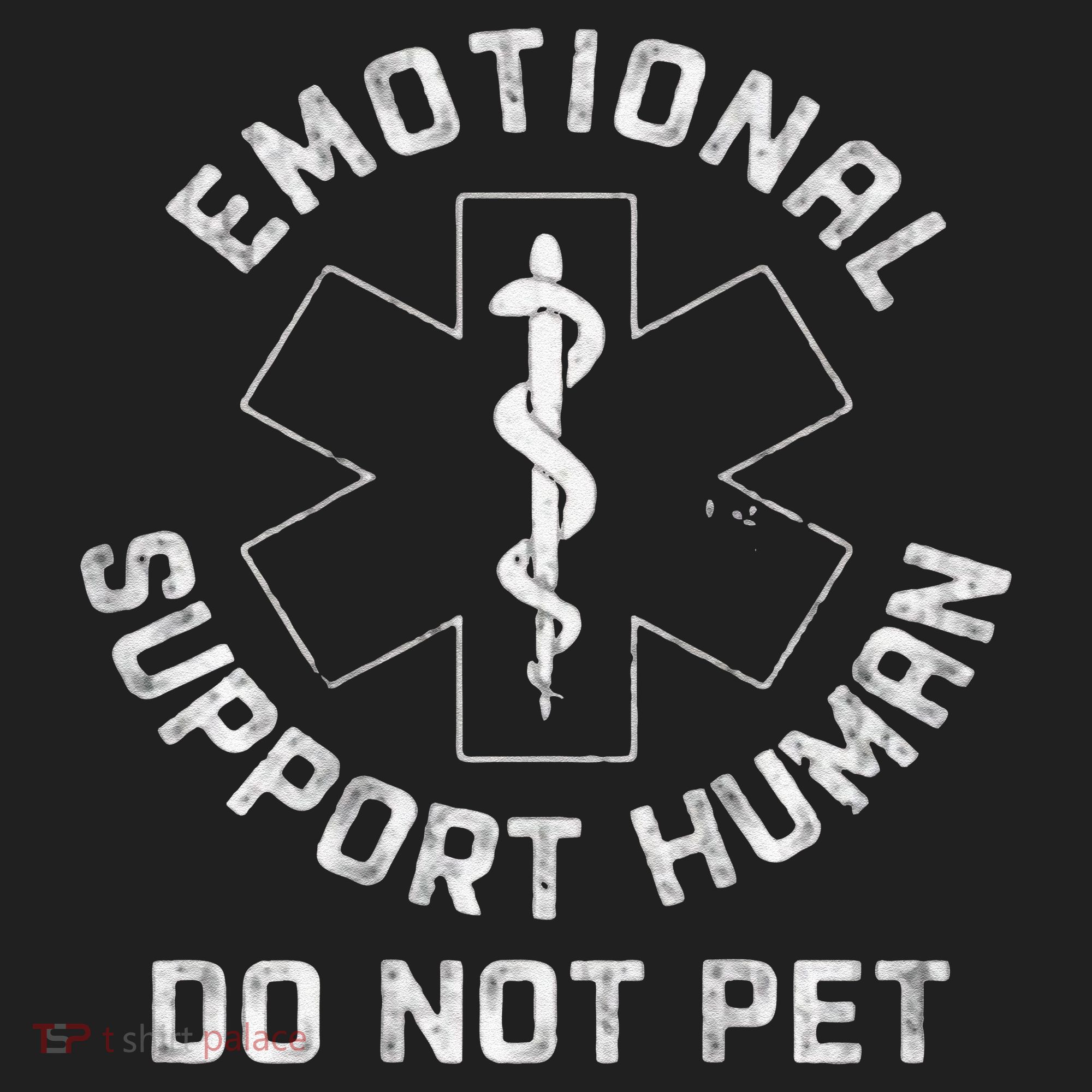 S Back Do Not Pet Emotional Support Husband Funny Beanie