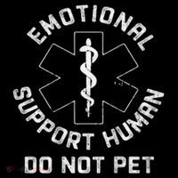S Back Do Not Pet Emotional Support Husband Funny Women's Hoodie thumb 2